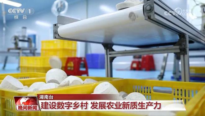 新质生产力引领中国经济发展“活力满满”(图4)