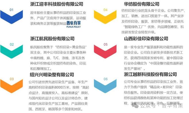 2025-2031年印染行业细分市场分析投资前景专项报告(图3)