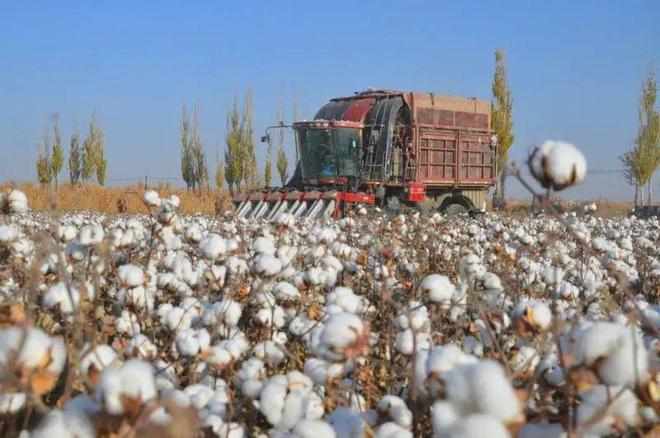 人生就是博：总投资105亿元！10天内签约300万锭刷爆朋友圈新疆棉纺项目的密集落地将加速内地产业整合(图3)