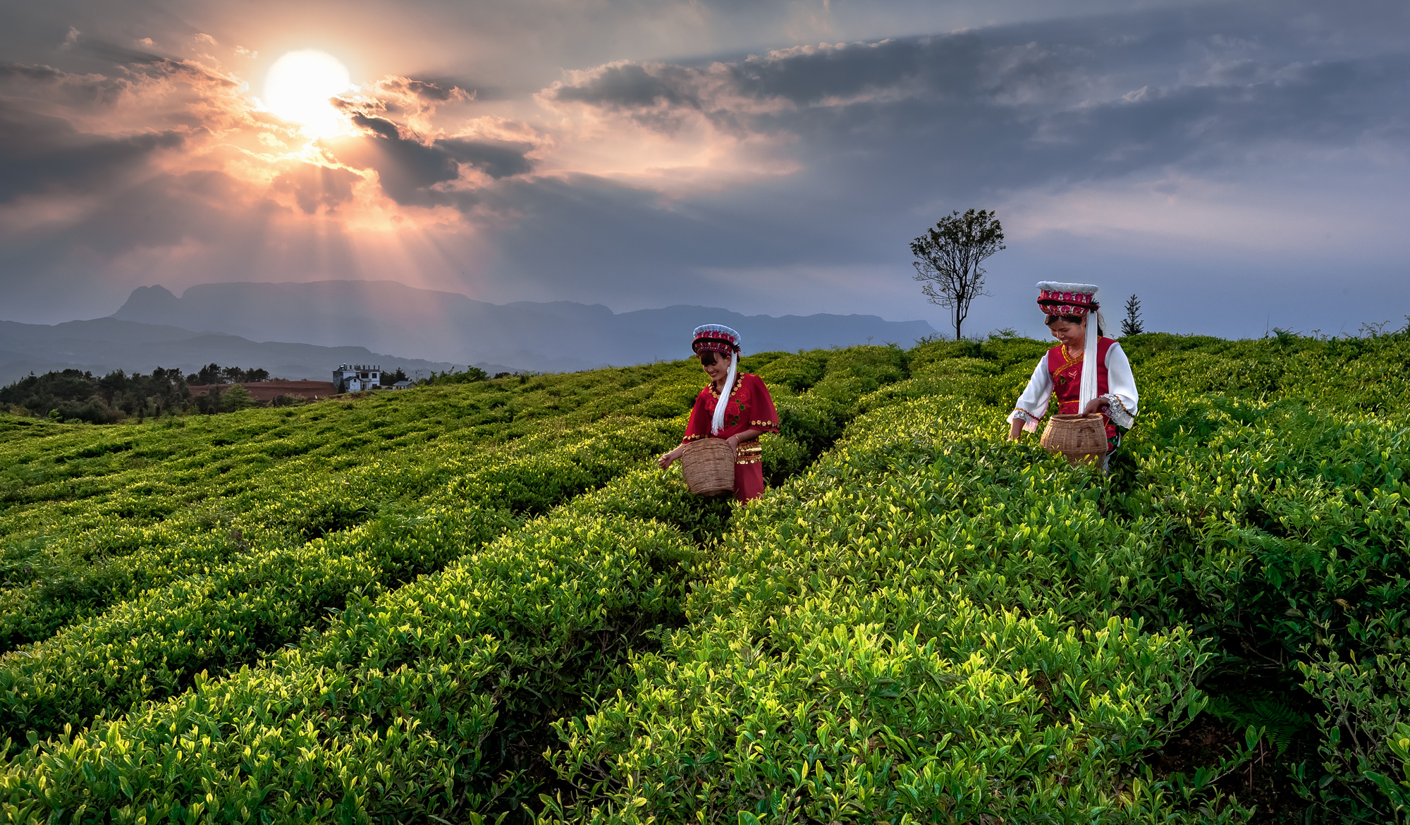 “三量”齐升 向优而行——“十四五”六盘水经济高质量发展纪实(图5)