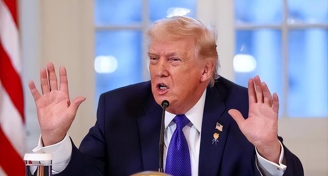 美国人意识到贸易战后将不会再有中国外的大规模工业化国家了(图1)